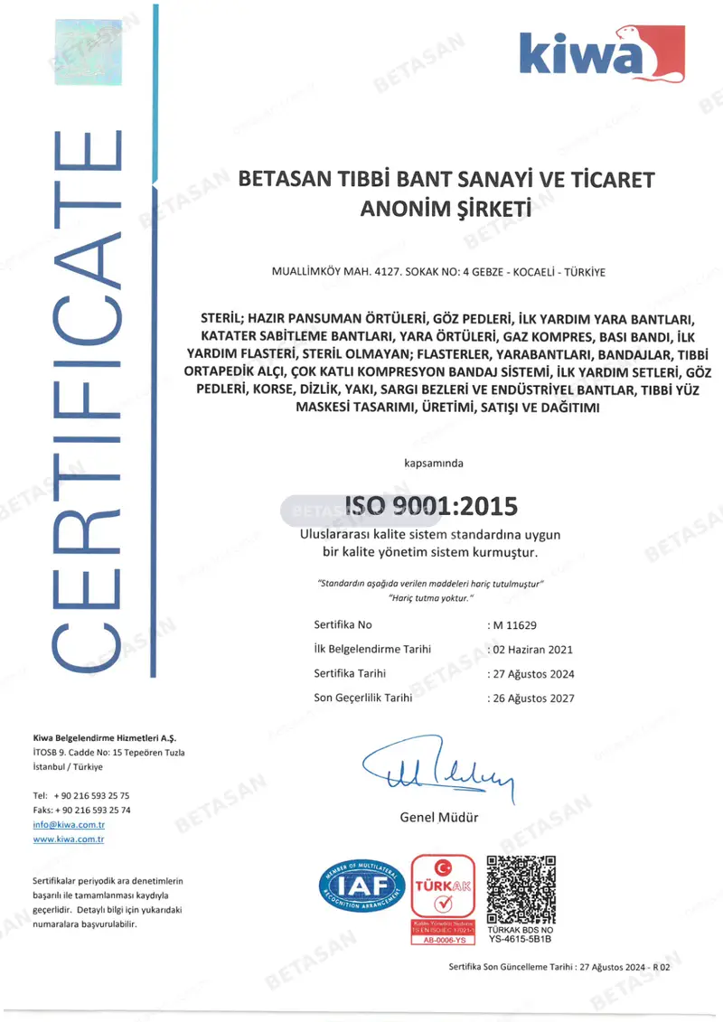 ISO 9001